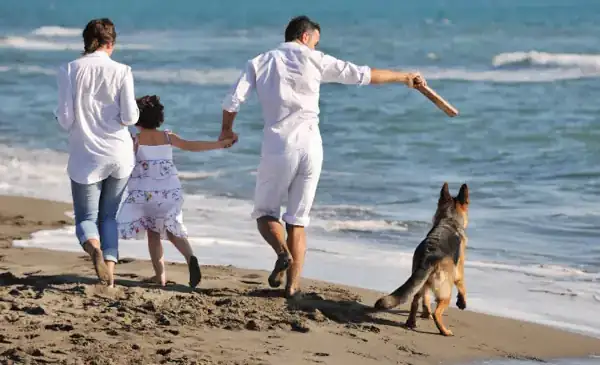 eine familie mit einem hund am wasser
