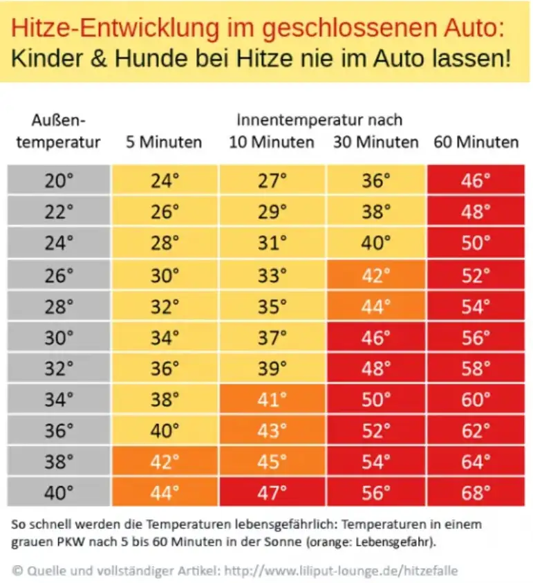 hinweisblatt hitze im auto