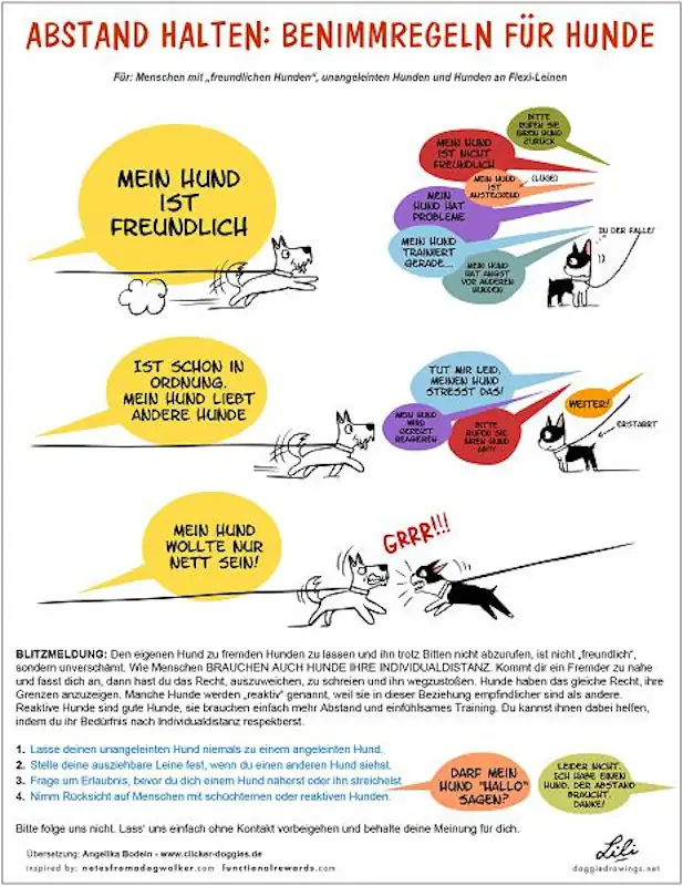 hinweisblatt hundebegegnungen